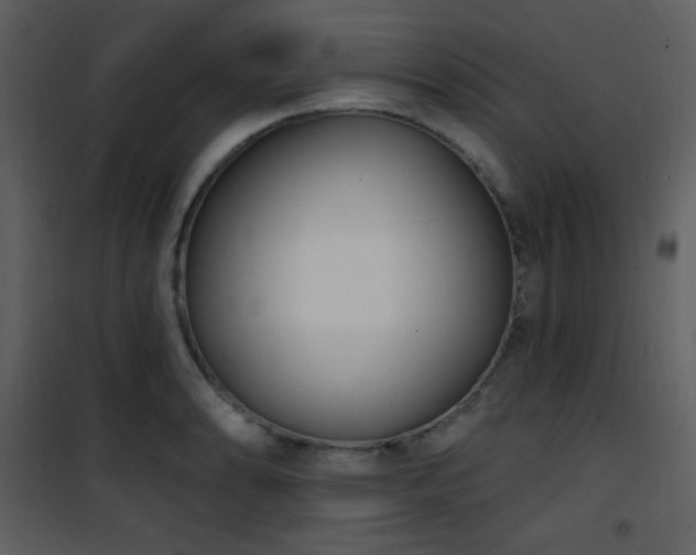 X0000102001086200807181159