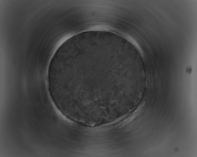 X0000102001087200807181159