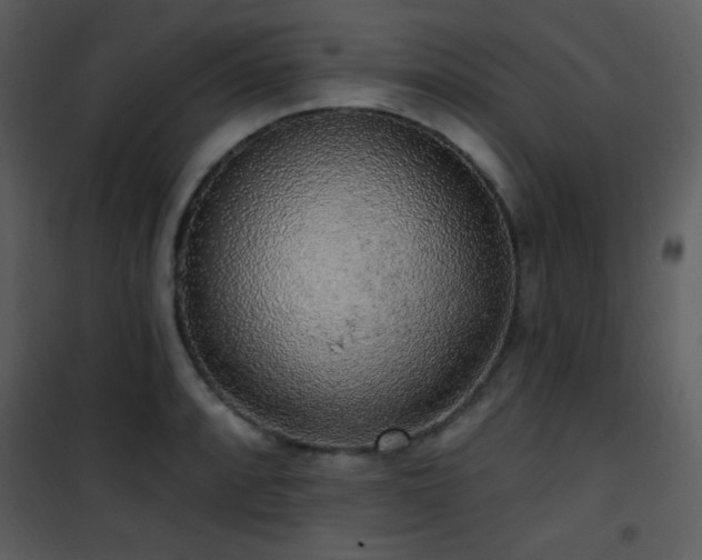 X0000102001088200807181159