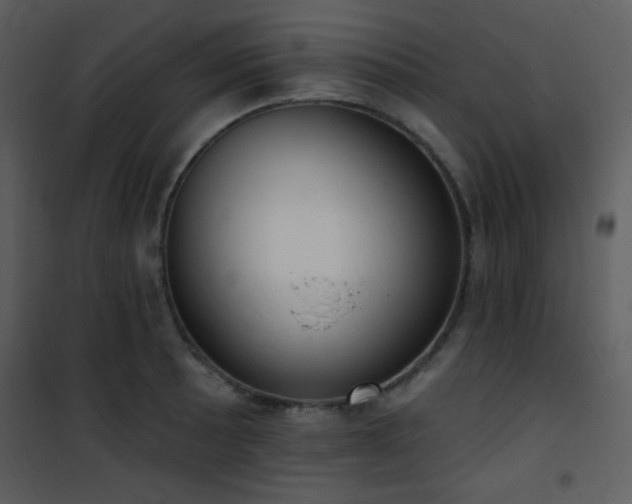 X0000102001089200807181159