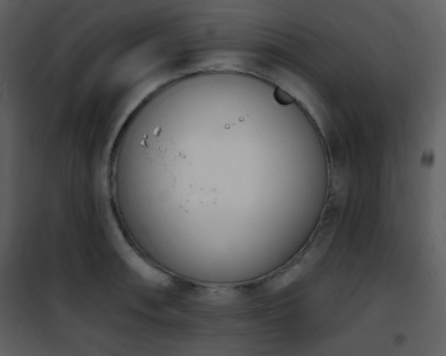 X0000102001090200807181159