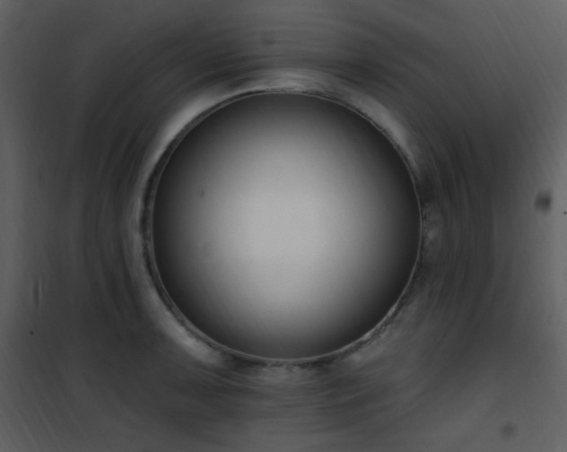 X0000102001091200807181159