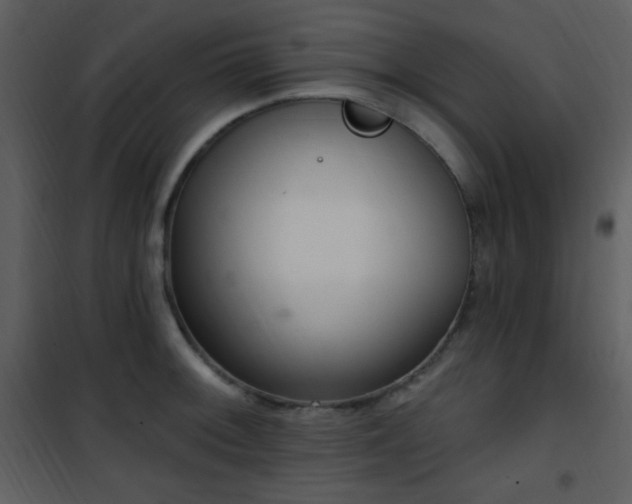 X0000102001092200807181159