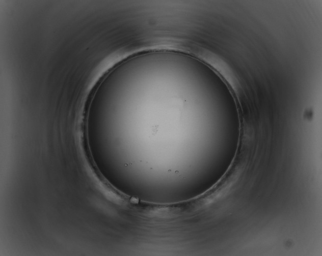 X0000102001093200807181159