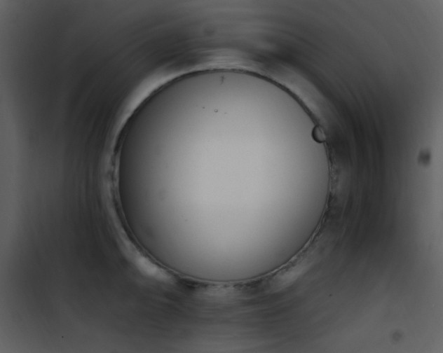 X0000102001094200807181159