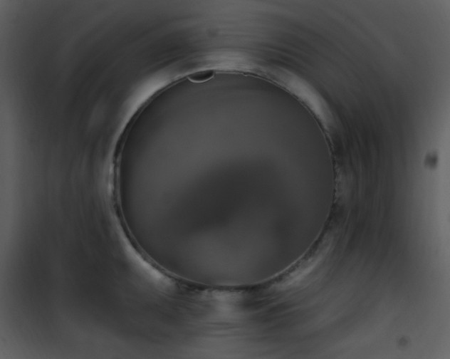 X0000102001095200807181159