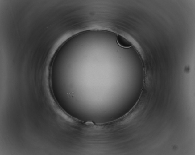 X0000102001096200807181159