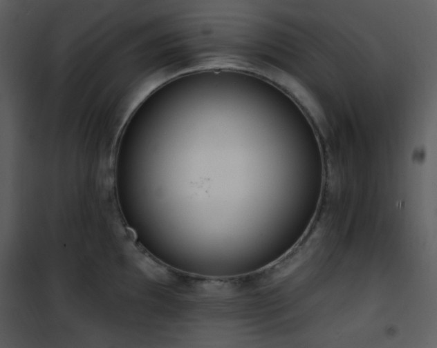 X0000102001097200807181159