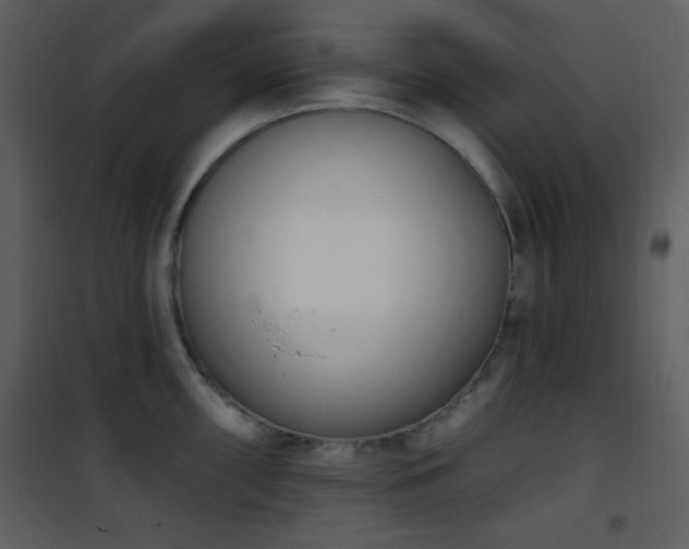 X0000102001098200807181159