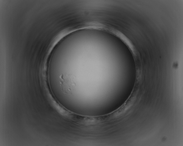 X0000102001099200807181159