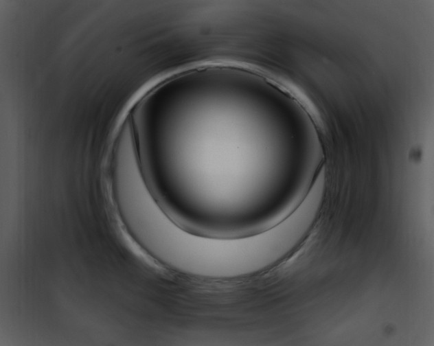 X0000102001100200807181159