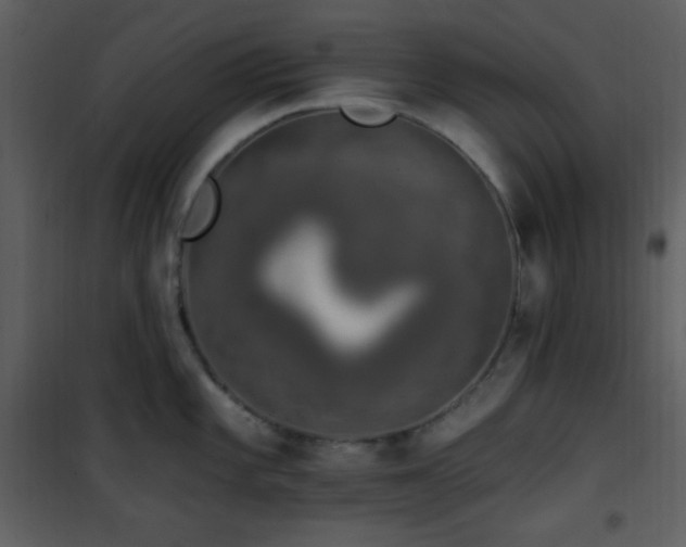 X0000102001101200807181159