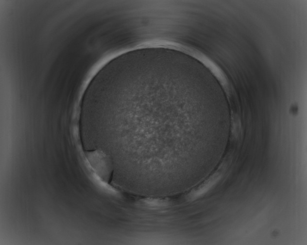 X0000102001102200807181159