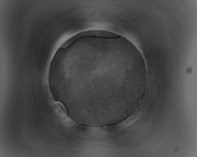 X0000102001104200807181159