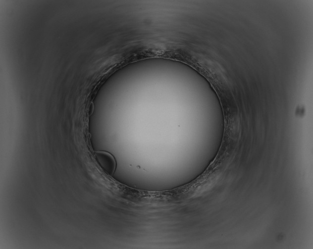 X0000102001105200807181158