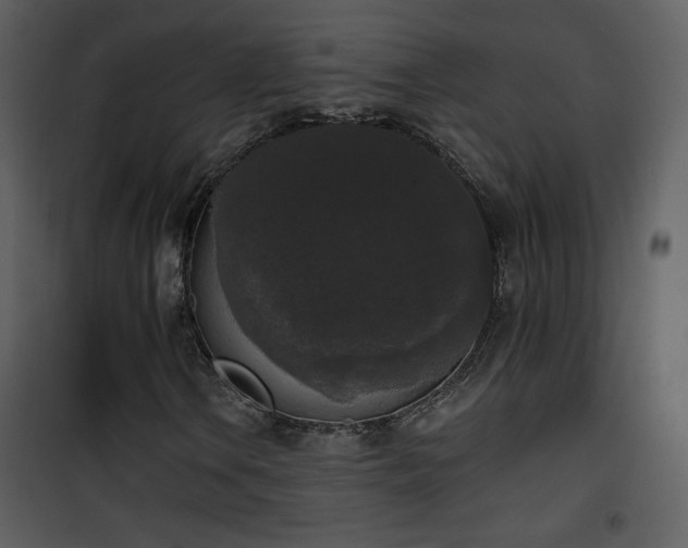 X0000102001106200807181158