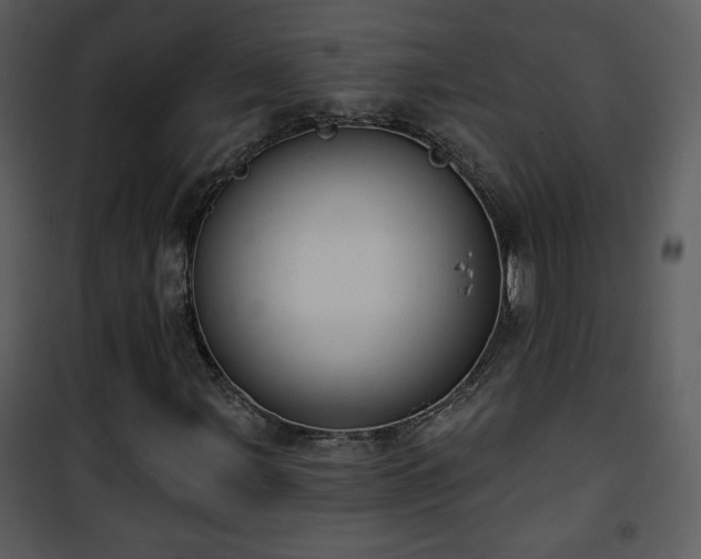 X0000102001107200807181158