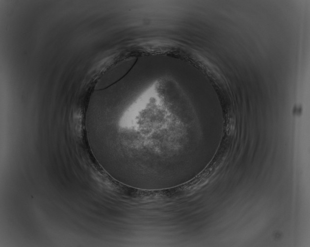 X0000102001108200807181158