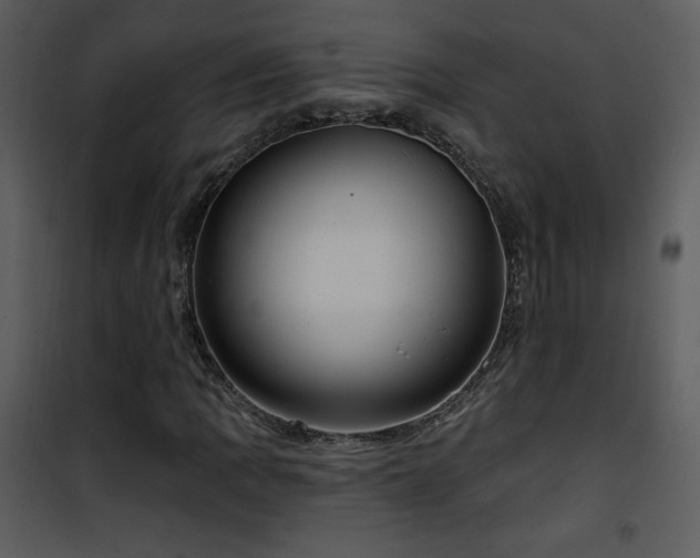 X0000102001109200807181158