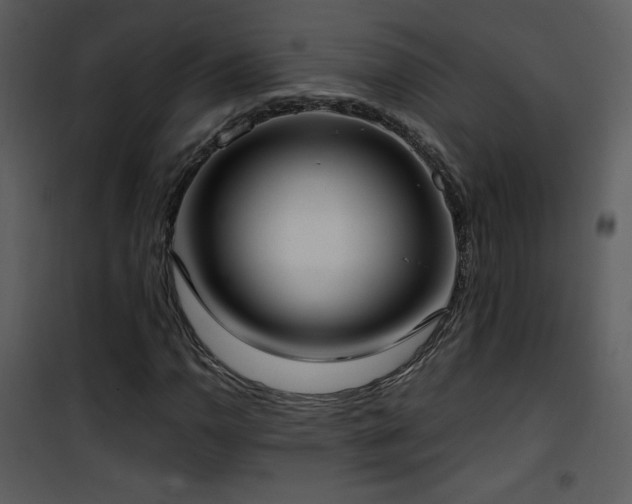 X0000102001110200807181158