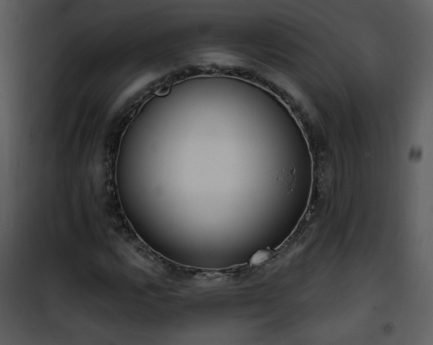 X0000102001112200807181158