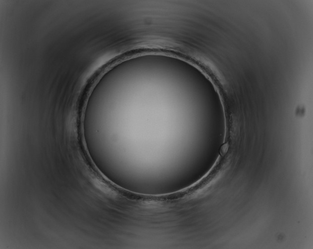 X0000102001114200807181158