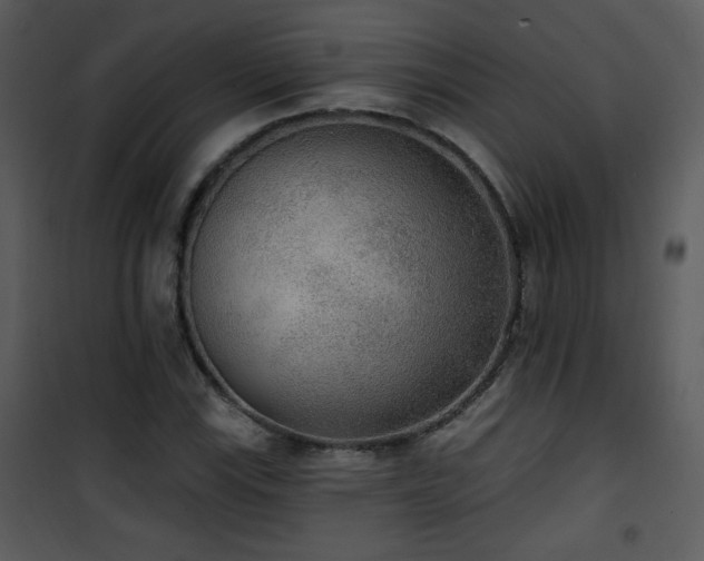 X0000102001115200807181158