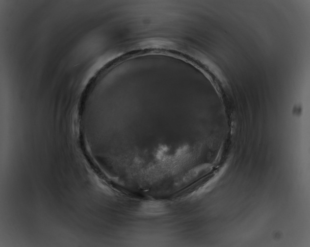 X0000102001117200807181158