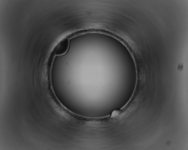 X0000102001118200807181158