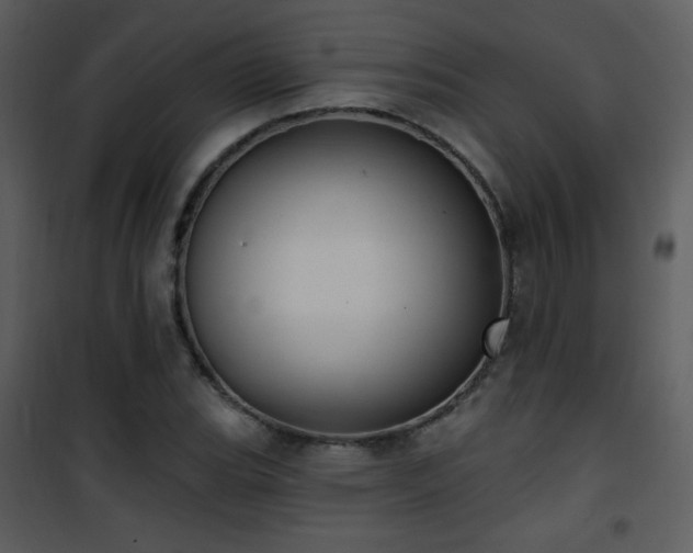 X0000102001119200807181158