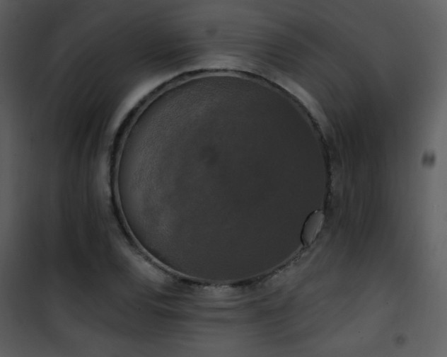 X0000102001120200807181158