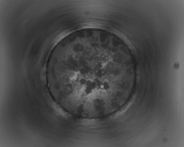 X0000102001121200807181158