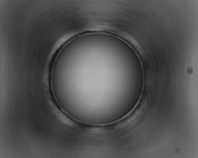 X0000102001122200807181158