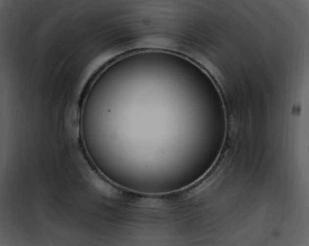 X0000102001123200807181158