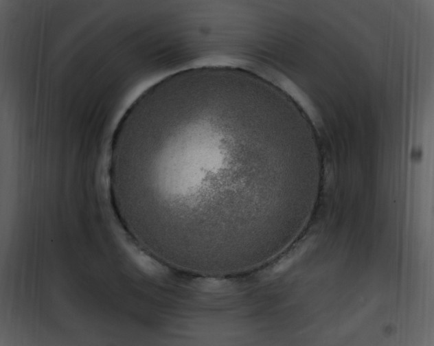 X0000102001124200807181158