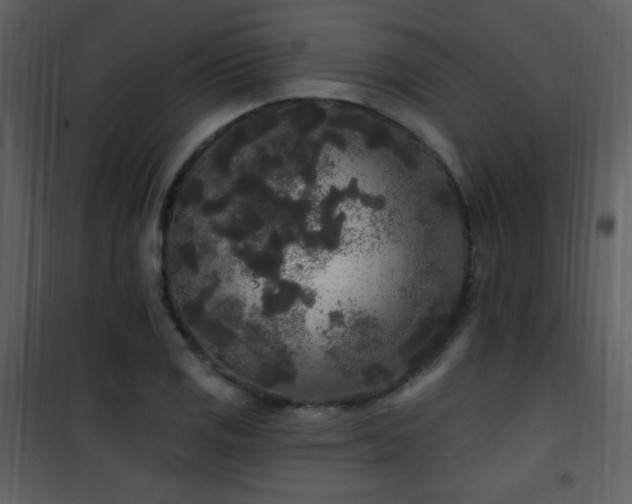 X0000102001125200807181158