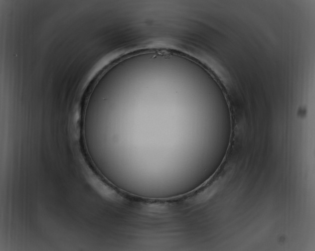 X0000102001126200807181158