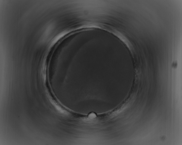 X0000102001127200807181158