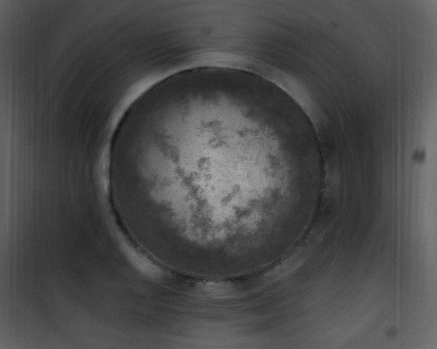 X0000102001128200807181158