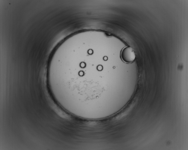 X0000102001130200807181158