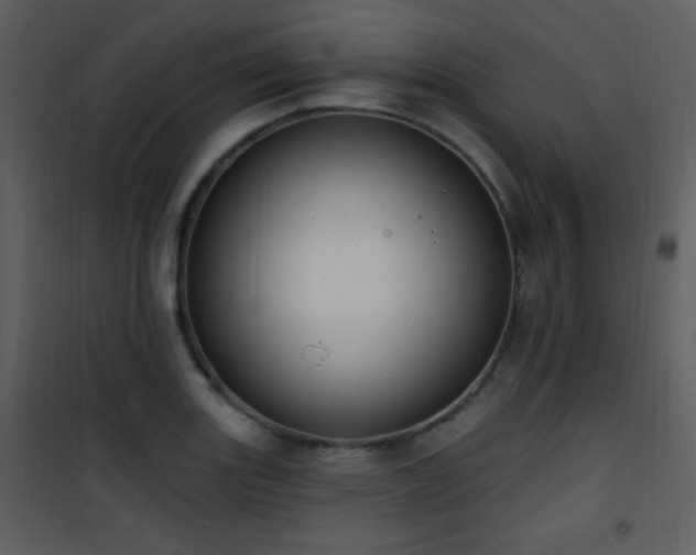 X0000102001131200807181159