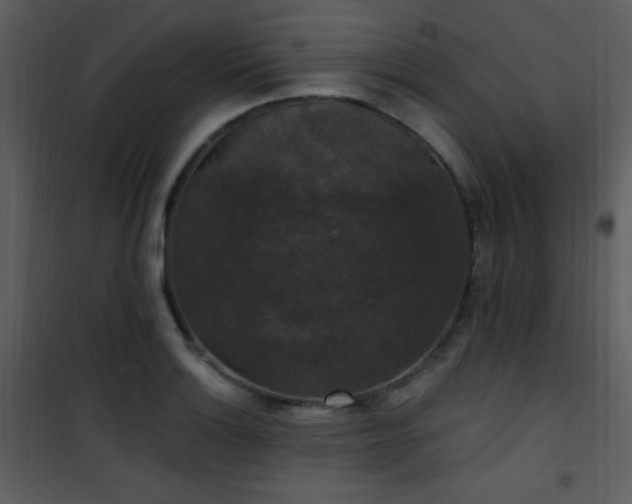 X0000102001132200807181159