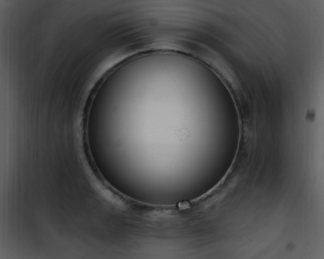 X0000102001133200807181159