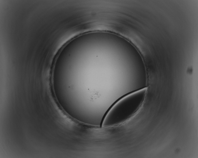 X0000102001134200807181159