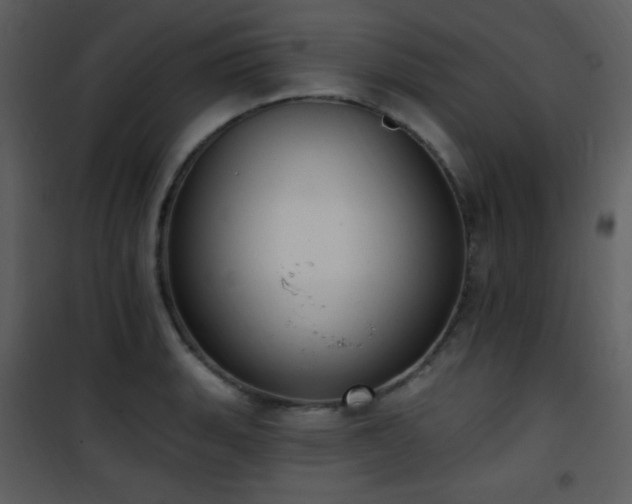 X0000102001135200807181159