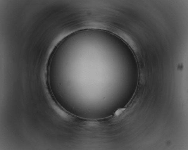 X0000102001136200807181159