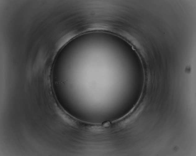 X0000102001137200807181159