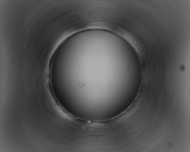 X0000102001140200807181159