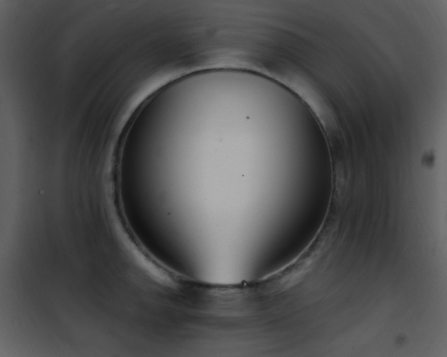 X0000102001142200807181159