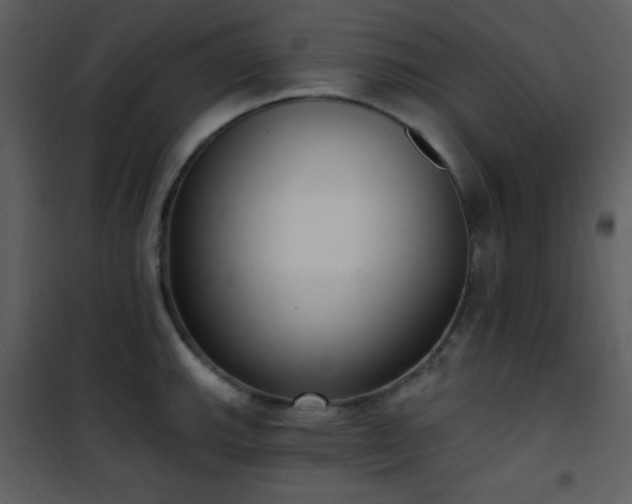 X0000102001143200807181159